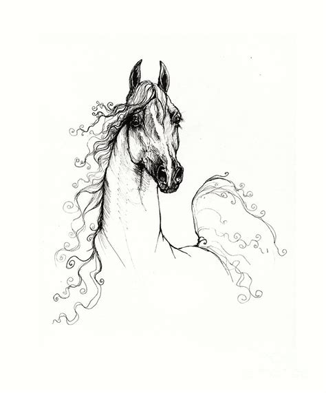 Arabian Horse Drawing 41 Drawing By Angel Ciesniarska