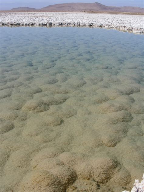 Sernageomin On Twitter Los Puquios Del Salar De Llamara Actores