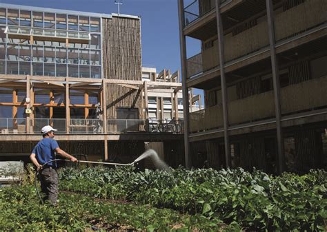 Paris Adopte Son Plan Local D Urbanisme Bioclimatique