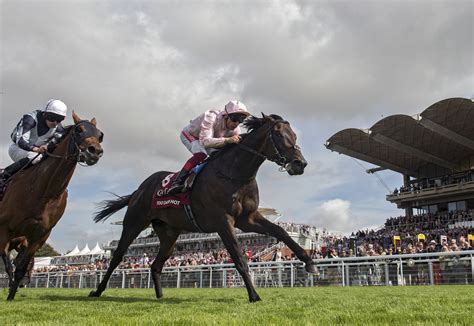 Too Darn Hot Out In Front Among First Crop Foal Sires The Owner Breeder