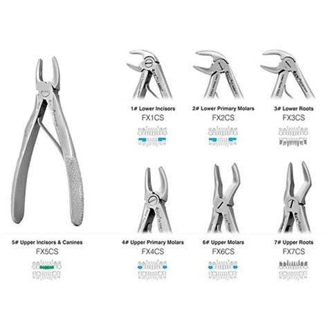 GDC Extraction Forceps Pedo Standard Set Of 7 EFPSP7 Buy Dental