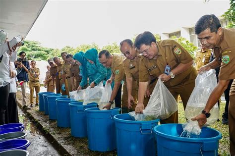 Tp Pkk Sumsel Dukung Gerakan Tanam Cabai Serentak Se Indonesia