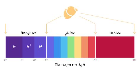 Ultraviolet light - Glossary - Energy Encyclopedia