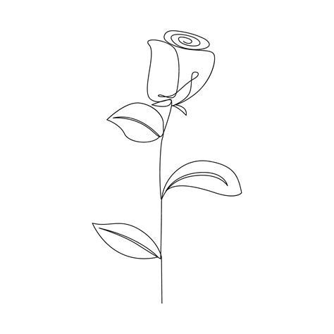 Premium Vector Continuous One Line Drawing Rose Flower Outline Vector