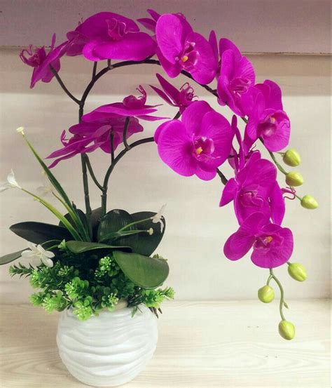 Pin By Kat Grosu On Orchid Orhidee Orchid Flower Arrangements Orchid