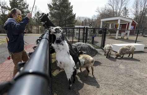 Photo gallery: Aquarium, zoo - Duluth News Tribune | News, weather, and ...