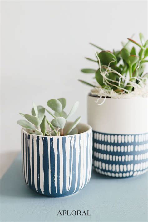 Mini Blue and White Ceramic Planter Pots with Live Jade Succulents from ...