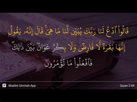 Al Baqarah Ayat 68