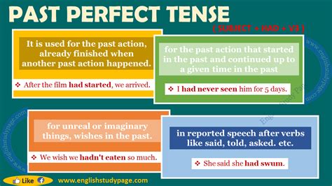 Contoh Past Perfect Tense Positive Negative Interrogative Berbagai