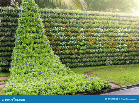 Flower Wall Vertical Garden