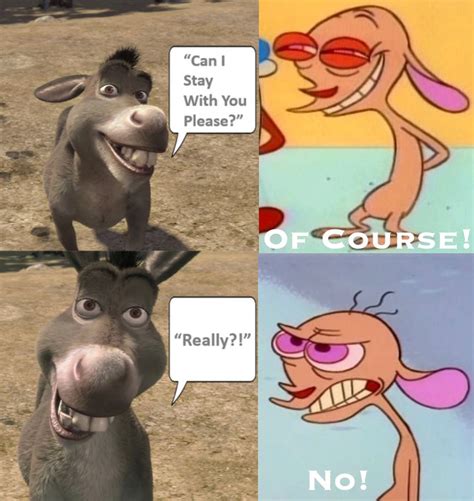 Donkey Asks Ren Hoek By B199456 On Deviantart