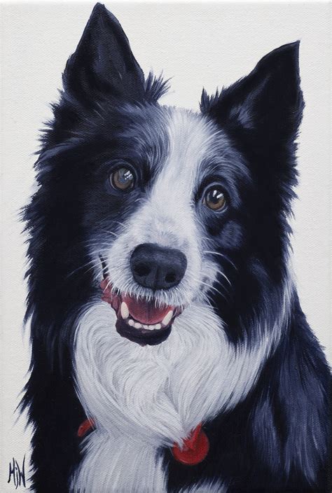 Border Collie Art Lovers Australia