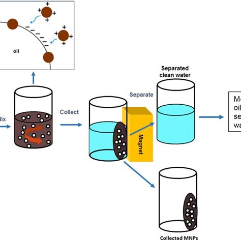 Schematic Illustration Of Batch Experiment Setup For Oil Droplet Download Scientific Diagram