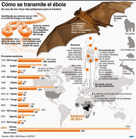 Cómo se transmite el Ébola Infografía Salud Ébola Paperblog