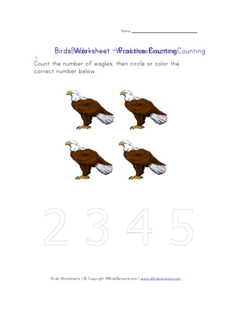 Birds Counting Worksheet Printable Pdf Download