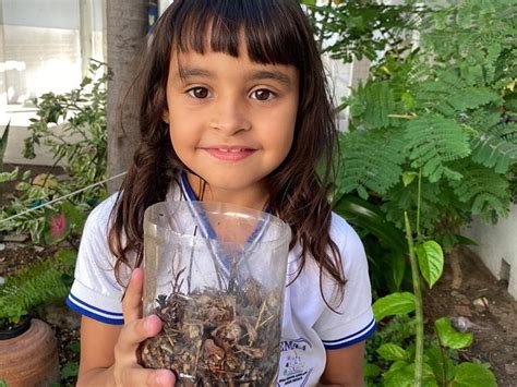 Alunos Da Escola Alu Zio Alves Confeccionam Vasos De Garrafa Pet No