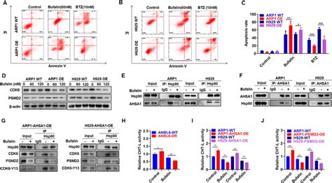 Bufalin Decreases Cellular Proliferation And PI Resistance Induced By