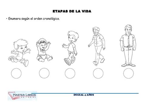 Etapas Del Desarrollo Humano Para Niños Etapas Del Desarrollo Humano Para Imprimir Para Niños