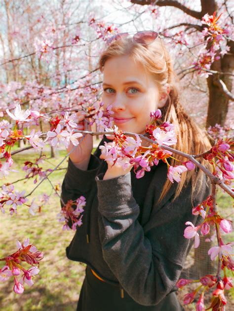 Roihuvuoren kirsikkapuisto, Helsinki - BestCaravan