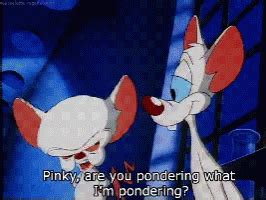 Pinky And The Brain Pinky You Pondering Gifdb