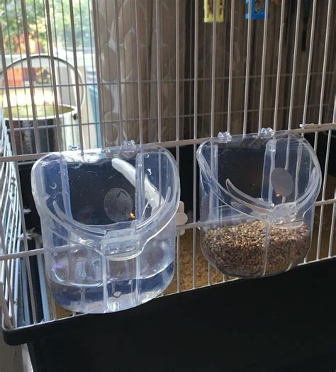 Imac Bird Feeder Im951 Irene Budgie Cage Canary Star Feeder Food Holder