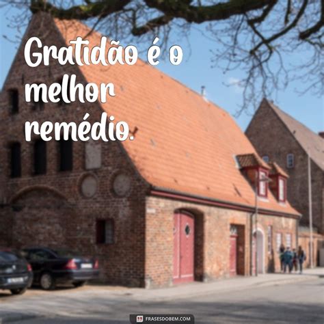 50 Frases Curtas Sobre Gratidão Para Inspirar Sua Vida Frases Do Bem