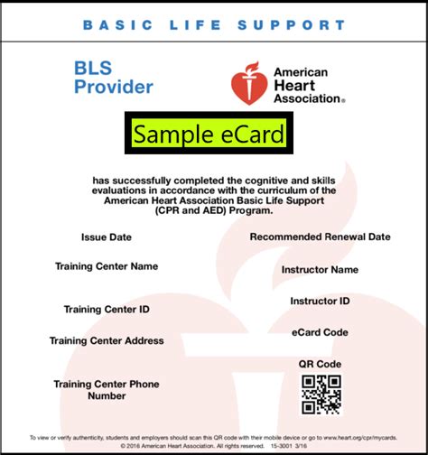 American Heart Association Bls Card