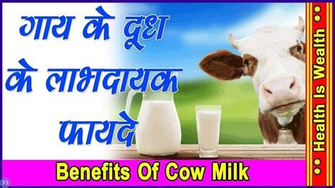 Cow Milk Benefits हेल्थ के लिए बेहद फायदेमंद है गाय का दूध