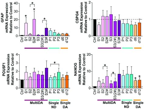 Increased Neural Gene Expression In HMSC Cultures Undergoing In Vitro