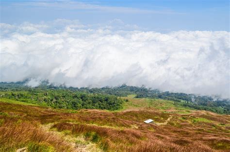 Mount Cameroon | | Alluring World