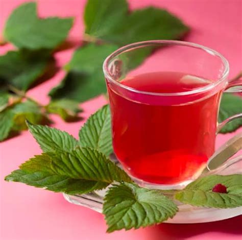 The Hidden Health Boosts Of Raspberry Leaf Tea