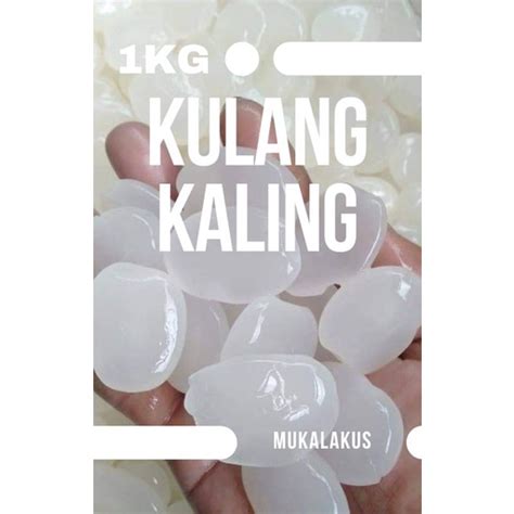 Jual BUAH SEGAR KOLANG KALING SUPER KULANG KALING MENTAH SEGAR 1KG