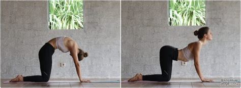 Here Are 20 Yoga Poses For Flexibility For Beginners You Can Do These