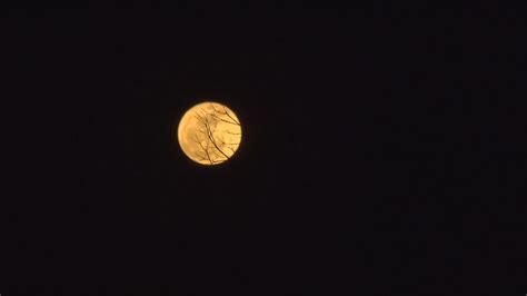 How to see the Christmas ‘cold moon’ — the last full moon of the year ...