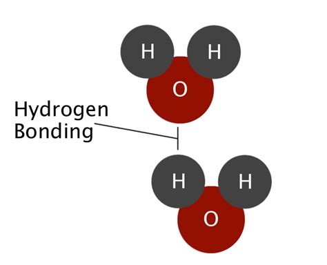 Molecular Structure of Water Tutorial | Sophia Learning