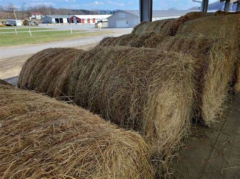 2 Round Bales 1st Timothy Orchard Grass 4x4 Stored Inside Rogers