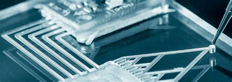 Microfluidics: Transforming Research and Industry | Blog | 3D AG