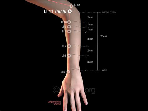 Quchi Li 11 Master Tung S Acupuncture Elotus Core