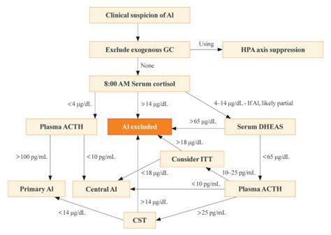 A Contemporary Approach To The Diagnosis And Management Of Adrenal