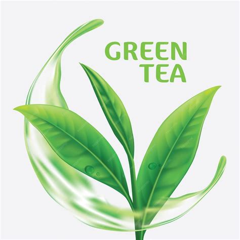 Premium Vector Realistic Green Tea Leaves