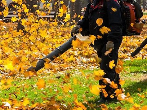 Marblehead Gas Leaf Blower Ban Expansion Blocked At Town Meeting Marblehead Ma Patch