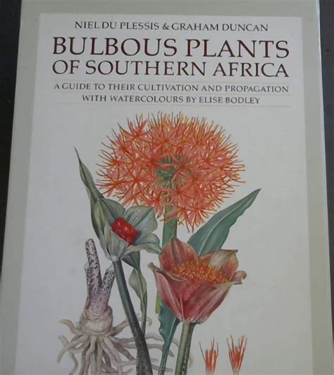 Bulbous Plants Of Southern Africa A Guide To Their Cultivation And