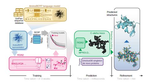 Nat Biotechnol 使用语言模型和深度学习的单序列蛋白质结构预测 专知vip