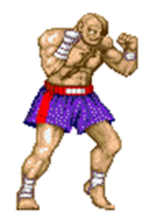 Mugen Fighters Guild Character Wiki Street Fighter Series