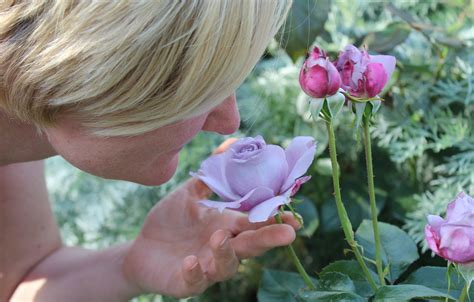 The Sense Of Smell | Science Hub 4 Kids