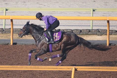 【宝塚記念】大阪杯vのポタジェが初時計をマーク 友道師「動きはまだまだ」 サンスポzbat