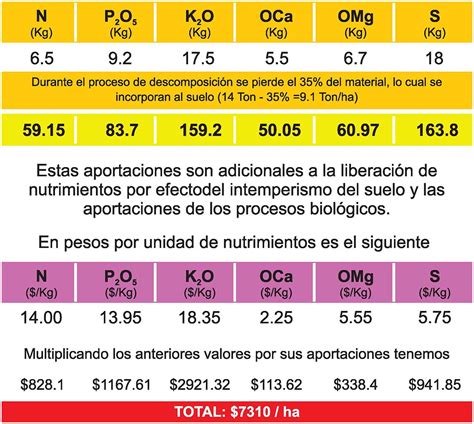 2019 03 ALTO RENDIMIENTO FOTO 1 Panorama AGROPECUARIO