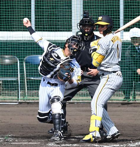 【areで賞】阪神・梅野が帰って来た いきなりバズーカ発動 半年ぶり実戦「出られたことが良かった」阪神タイガースデイリースポーツ Online