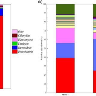 | Microbial communities of biofilm: Bacterial communities at phylum (a ... 