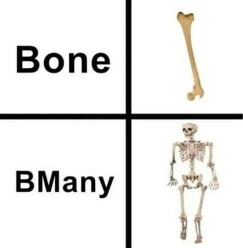 Oh I Get It Skeletons Know Your Meme